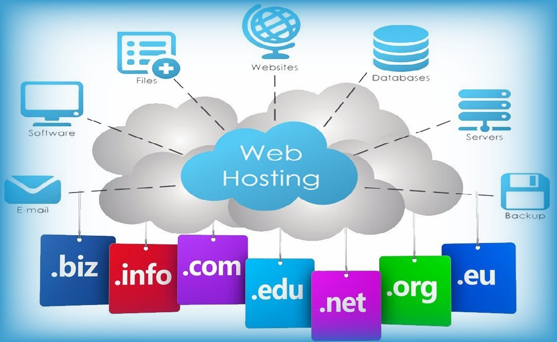 Domain and Hosting